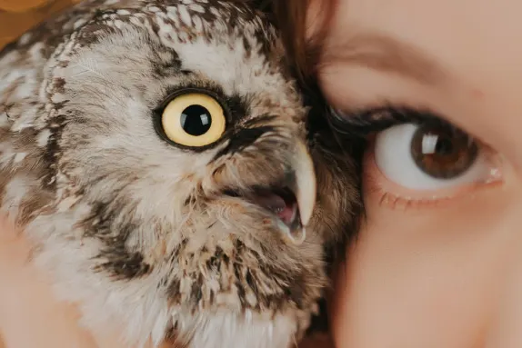 Paradise Kazino Pagalba